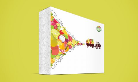 <font color='red'><font color='red'>水果</font><font color='red'>包裝盒</font></font>效果圖